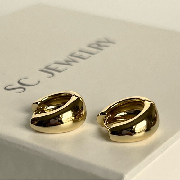 Thick Tiny Hoop Earrings | 14K Gold Plated | Luxury Hypoallergenic Jewelry - Picture 5 of 10